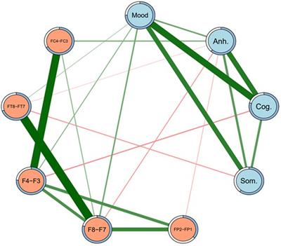 Network analysis of frontal lobe alpha asymmetry confirms the neurophysiological basis of four subtypes of depressive behavior